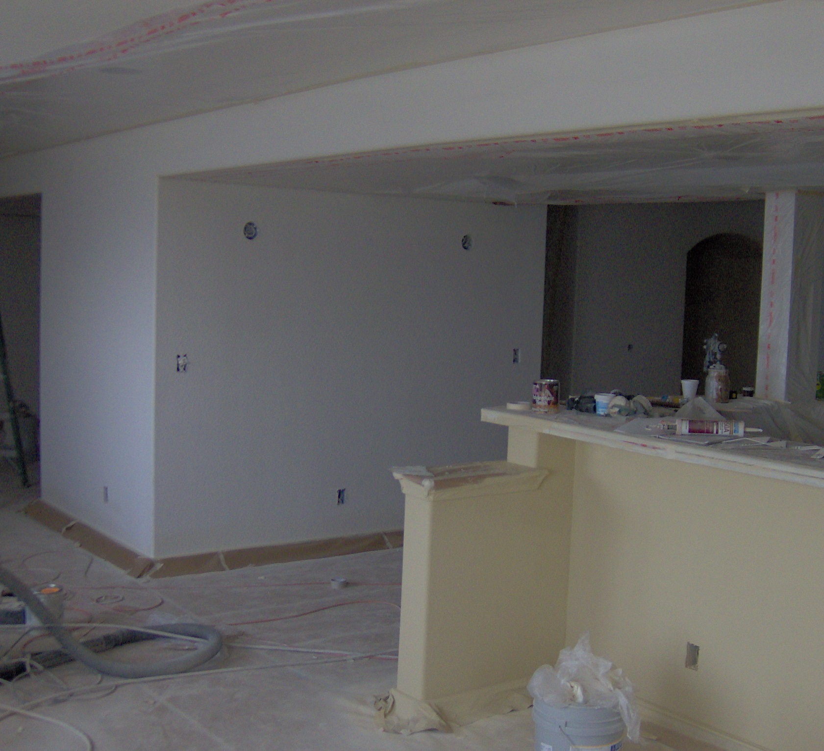 Remodel and new construction painting