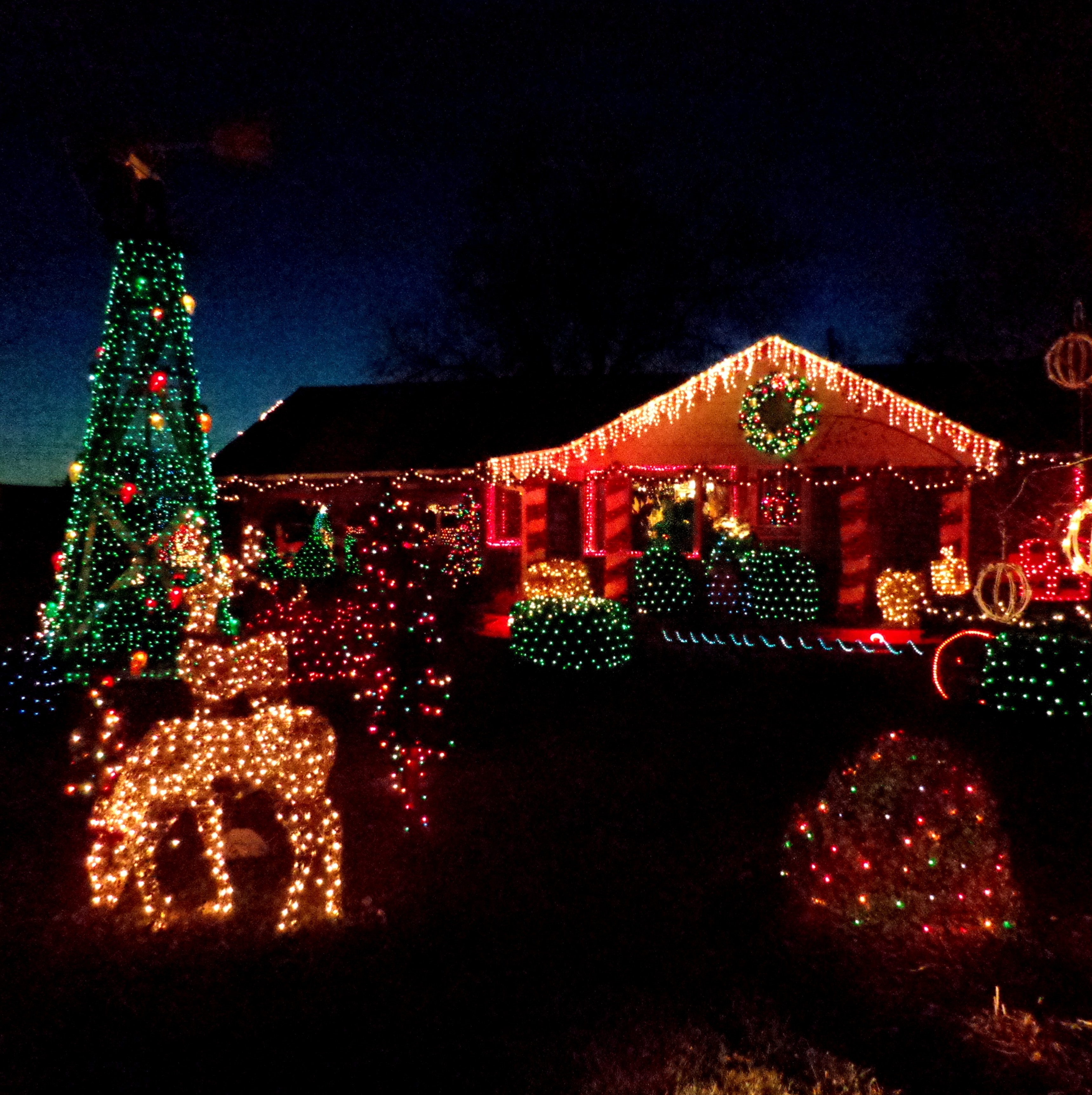 Holiday lights and Christmas Ligh displays